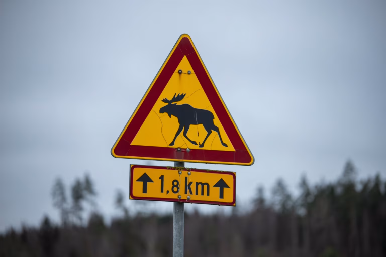 39-881484619764addc5a6